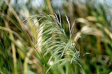 《红魔城传说 绯色交响曲》复刻版现已发售 宣传片公开